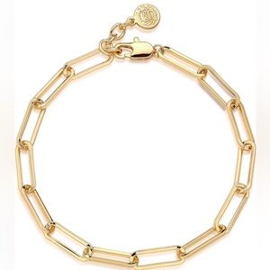 Kris Nations Thick Paperclip Chain Bracelet in Gold main image 1